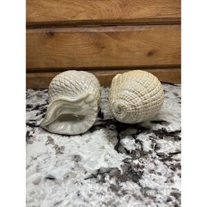 Seashell Ceramic Home Decor Iridescent Ivory